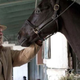 Illustration for article titled HBOs emLuck/em has had to euthanize two horses already